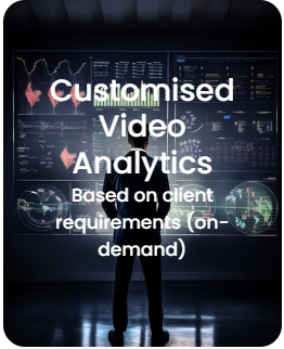 Customized Video Solutions